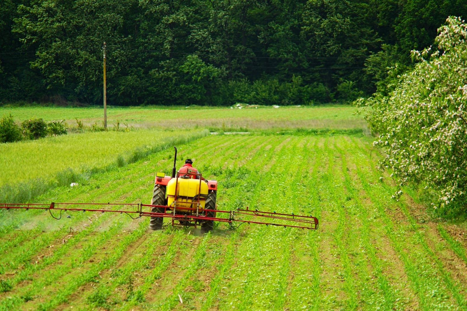 Panama Crop Science Team