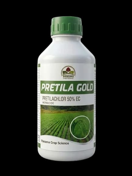 PRETILA GOLD