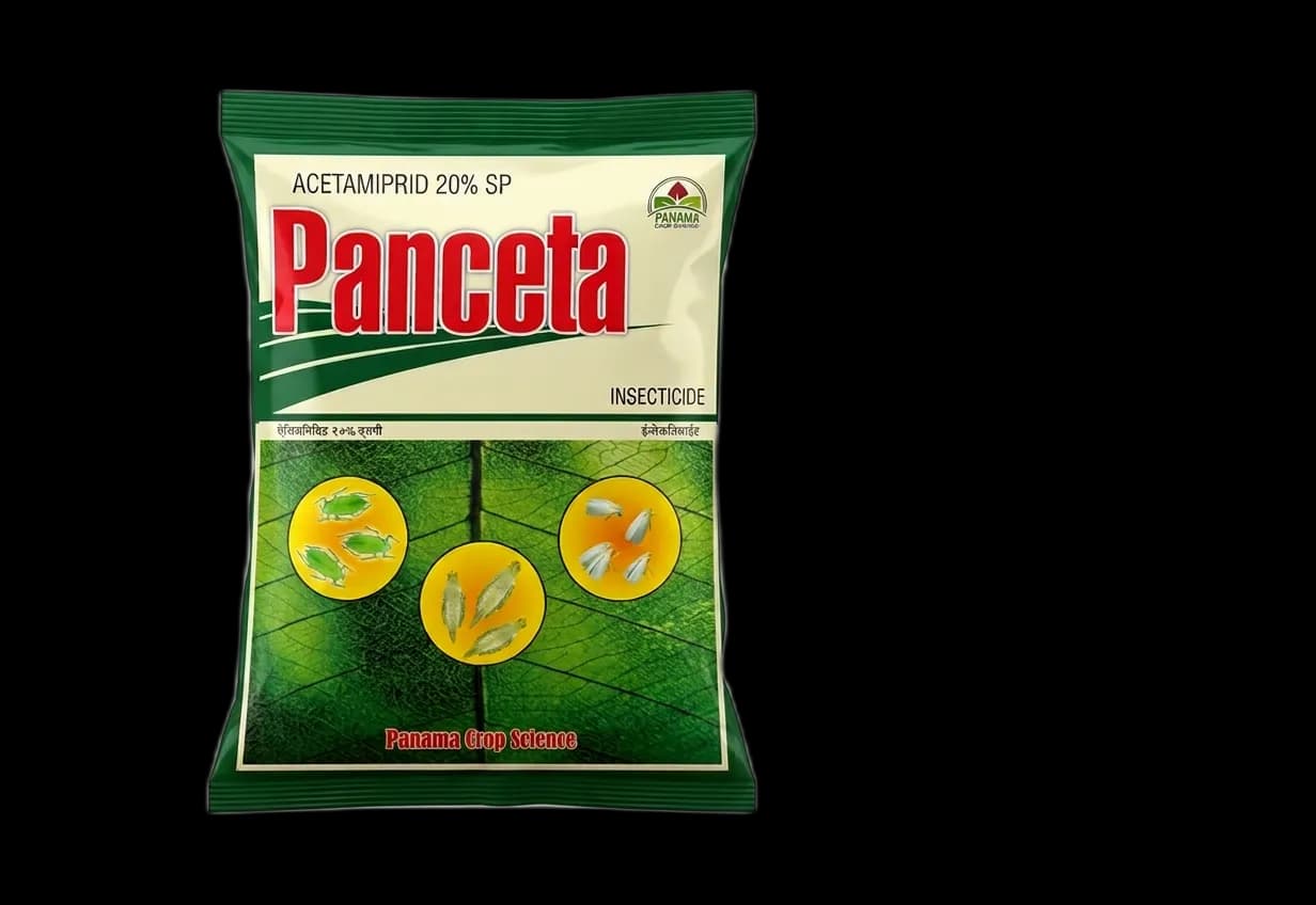 PANCETA
