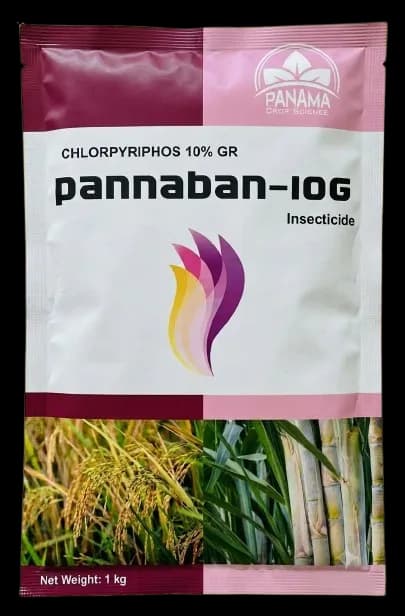 PANNABAN-10G