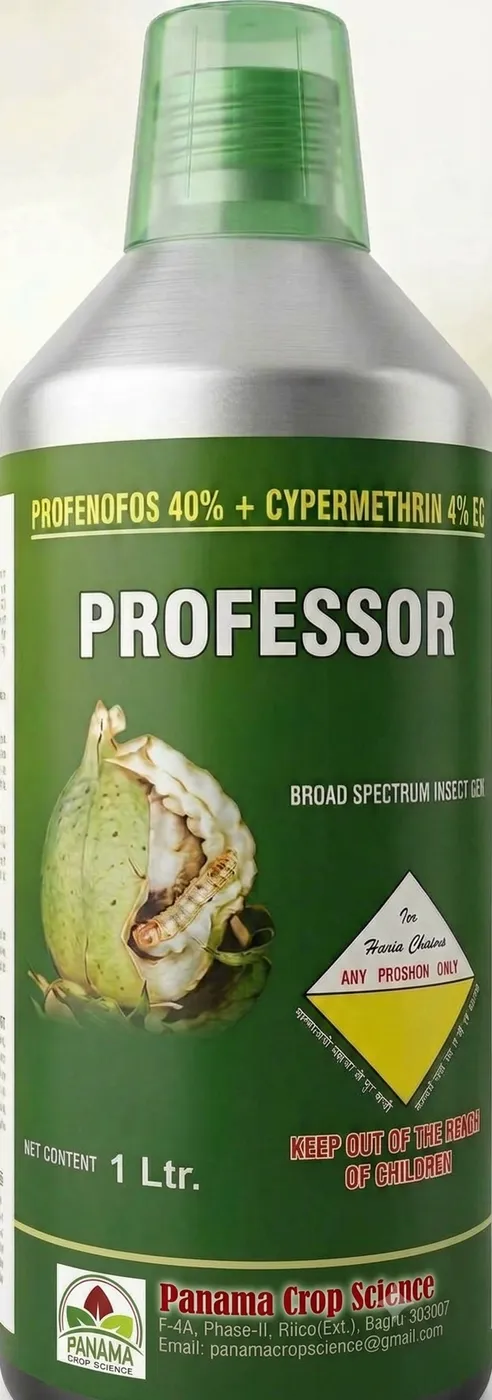 PROFESSOR 404