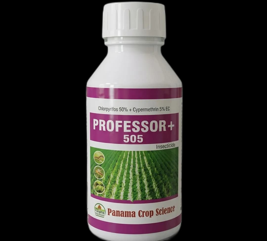 PROFESSOR + 505