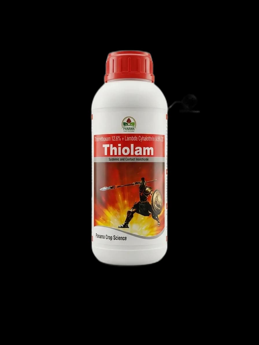 THIOLAM